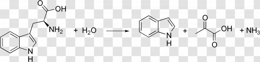 Chemistry Chemical Synthesis Organic Peptide Indole - Silhouette - Science Transparent PNG