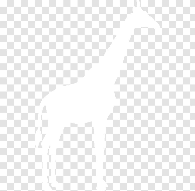 Google Logo United States Business Symbol - Rectangle Transparent PNG