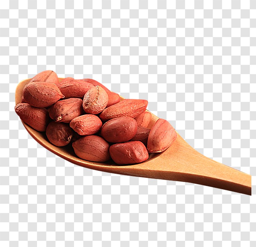 Spoon Peanut Flour - Red - Of Peanuts Transparent PNG