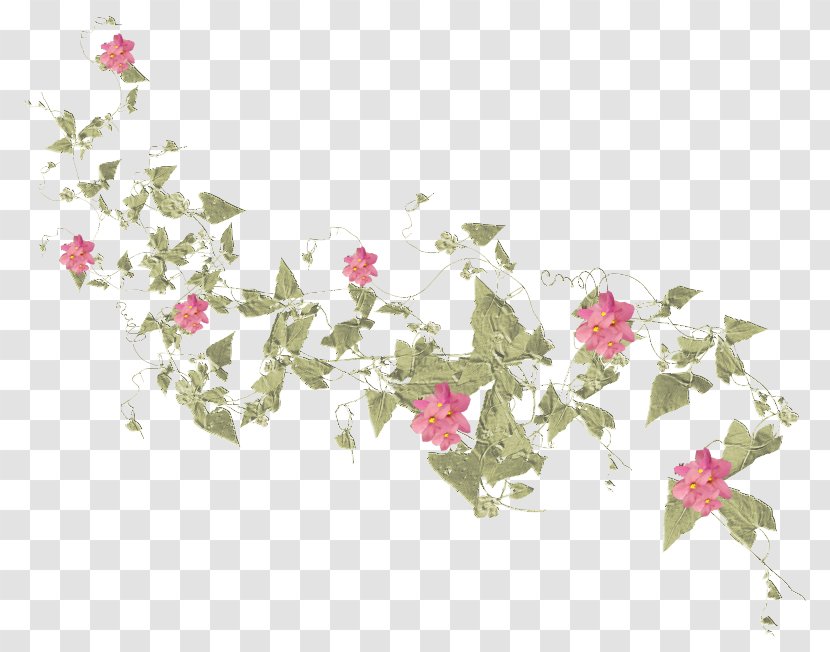 Floral Design Rose Family Petal Pattern - Flora Transparent PNG