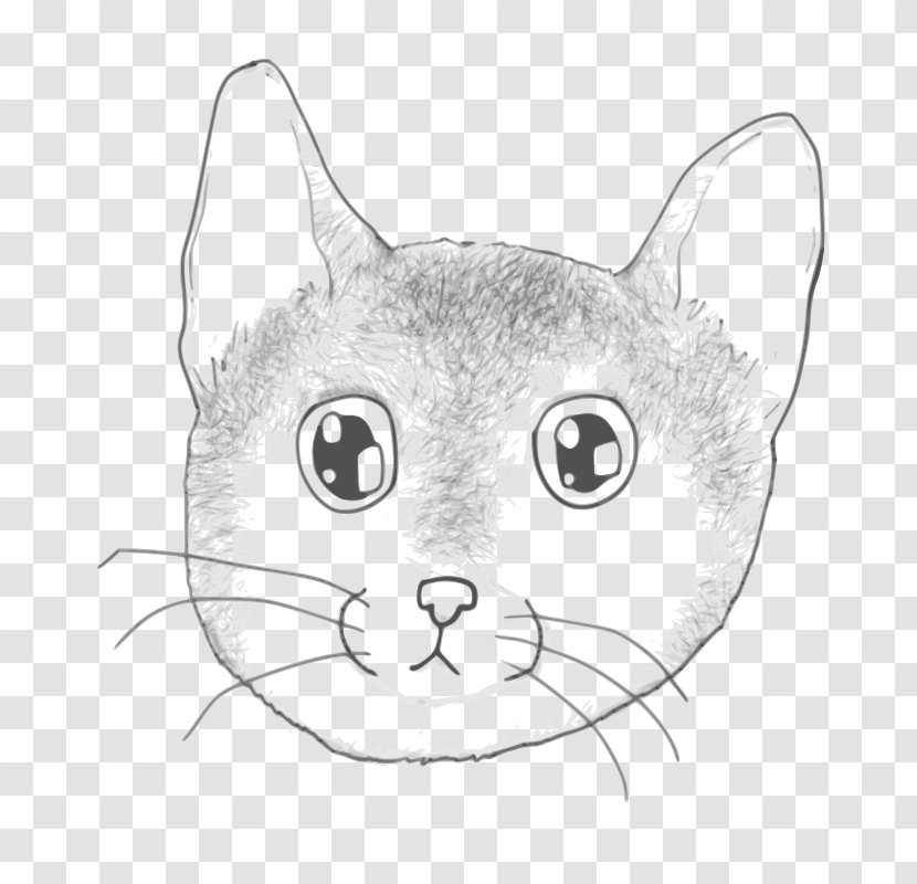 Kitten Whiskers Domestic Short-haired Cat Tabby Wildcat - Frame Transparent PNG