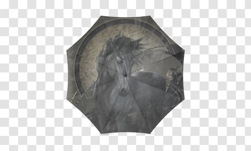 Friesian Horse Cdiscount Mirror June Sales - Sleeve Gastrectomy Transparent PNG