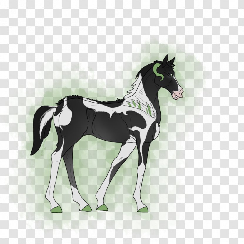 Mustang Foal Stallion Colt Mare - Mane Transparent PNG