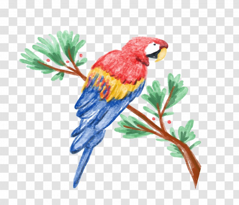 Amazon Parrot Watercolor Painting Illustration Transparent PNG