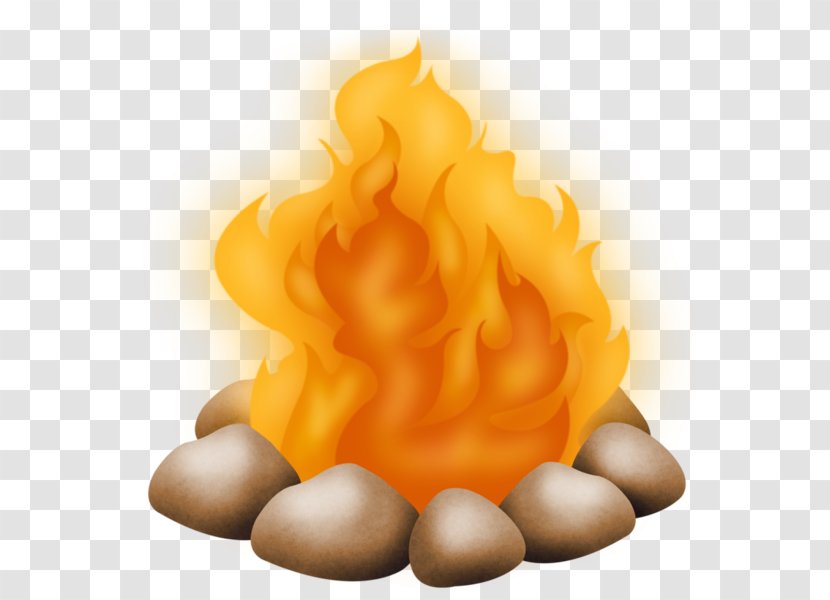 Flame Bonfire - Petal Transparent PNG