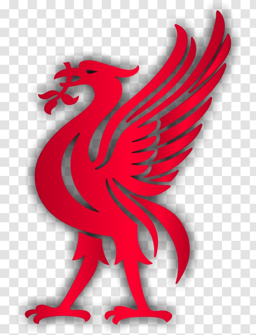 Liverpool F.C. Liver Bird Premier League - Macaw Transparent PNG