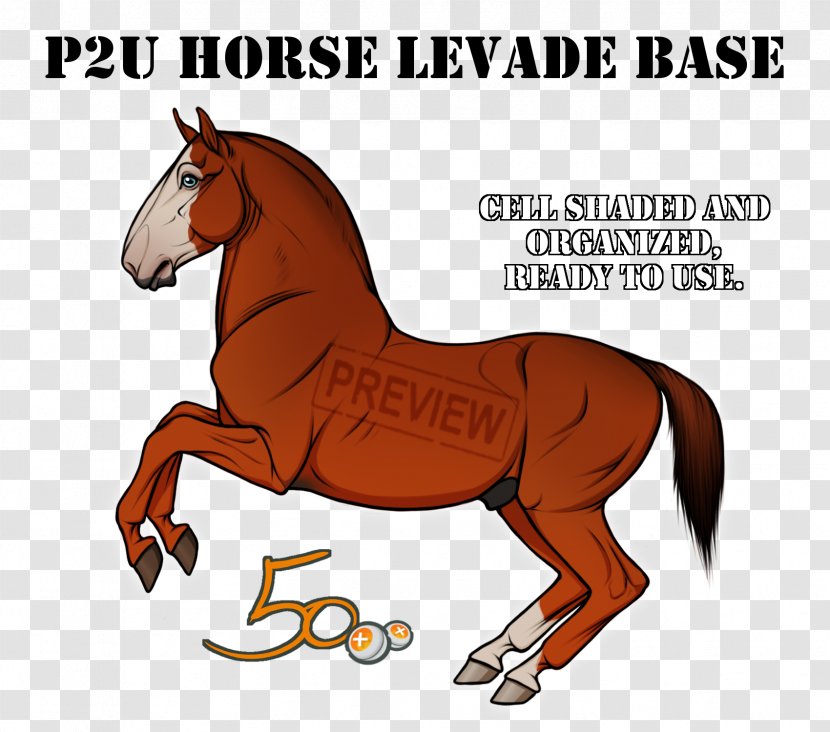 Mustang Mare Stallion Colt Pony Transparent PNG