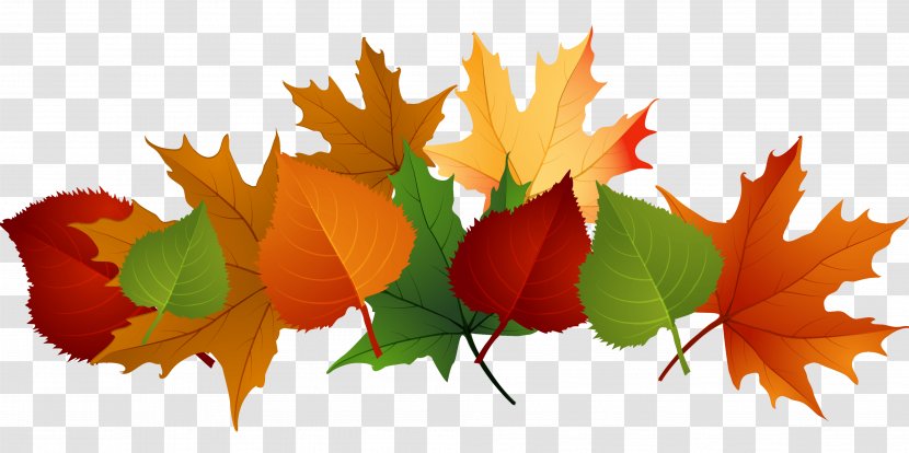 Clip Art Free Content Openclipart Autumn Image - Leaf Color Transparent PNG
