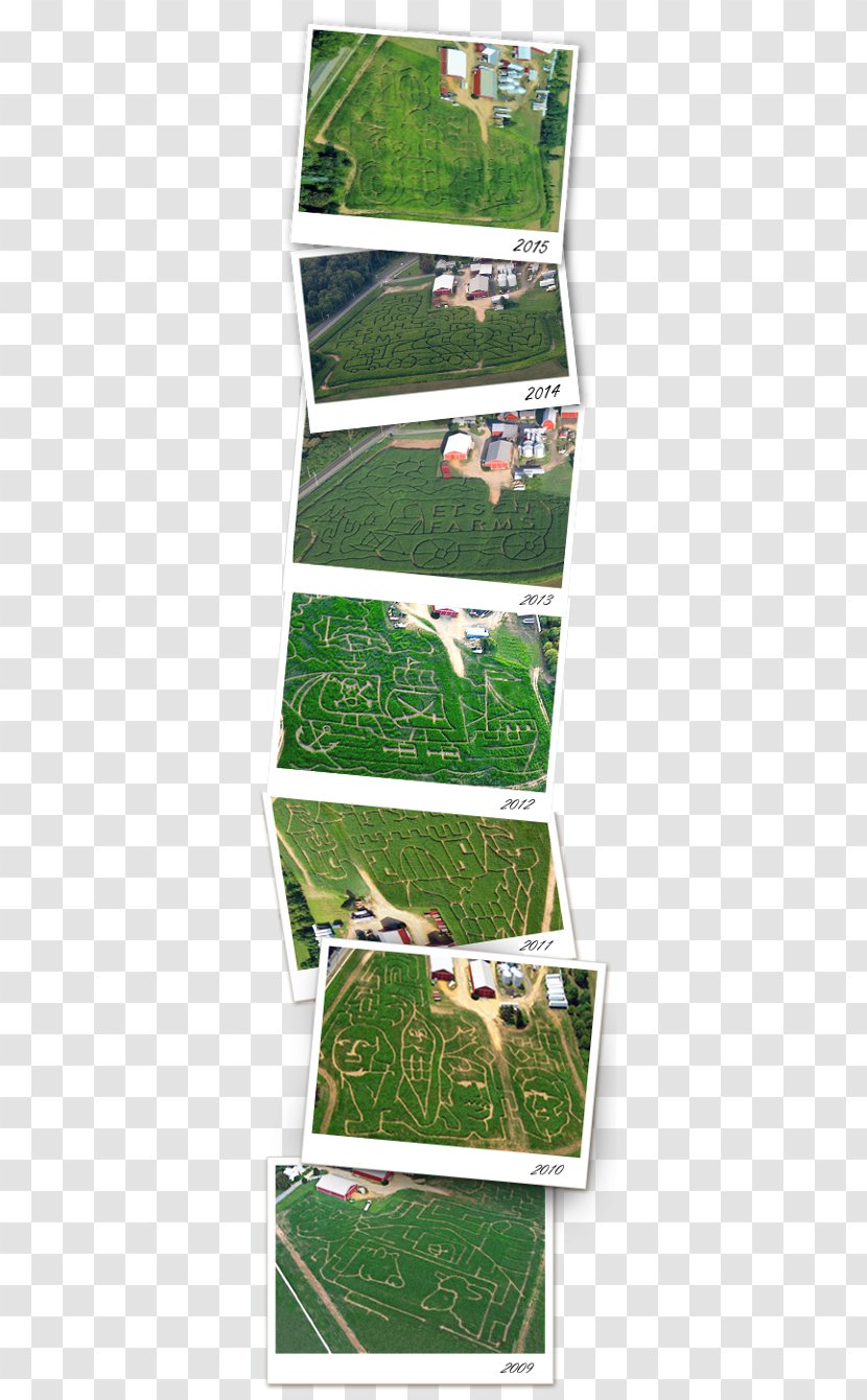 Etsch Farms Corn Maze Opening Day! Hayride - Maize - Farm Transparent PNG