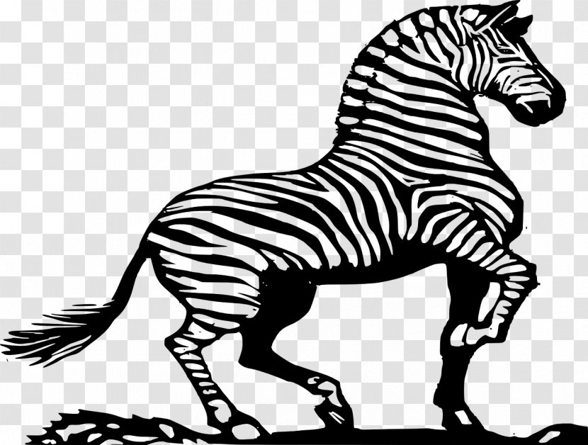 Zorse Zebra Horse Quagga Clip Art - Terrestrial Animal Transparent PNG