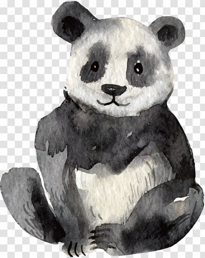 Koala Giant Panda Lemuridae Euclidean Vector Watercolor Painting Transparent PNG