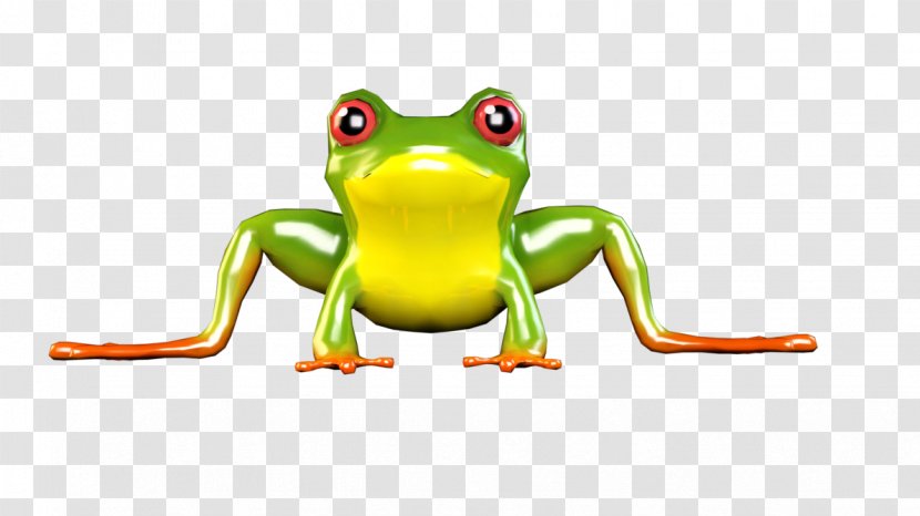 True Frog Tree Toad - Amphibian Transparent PNG