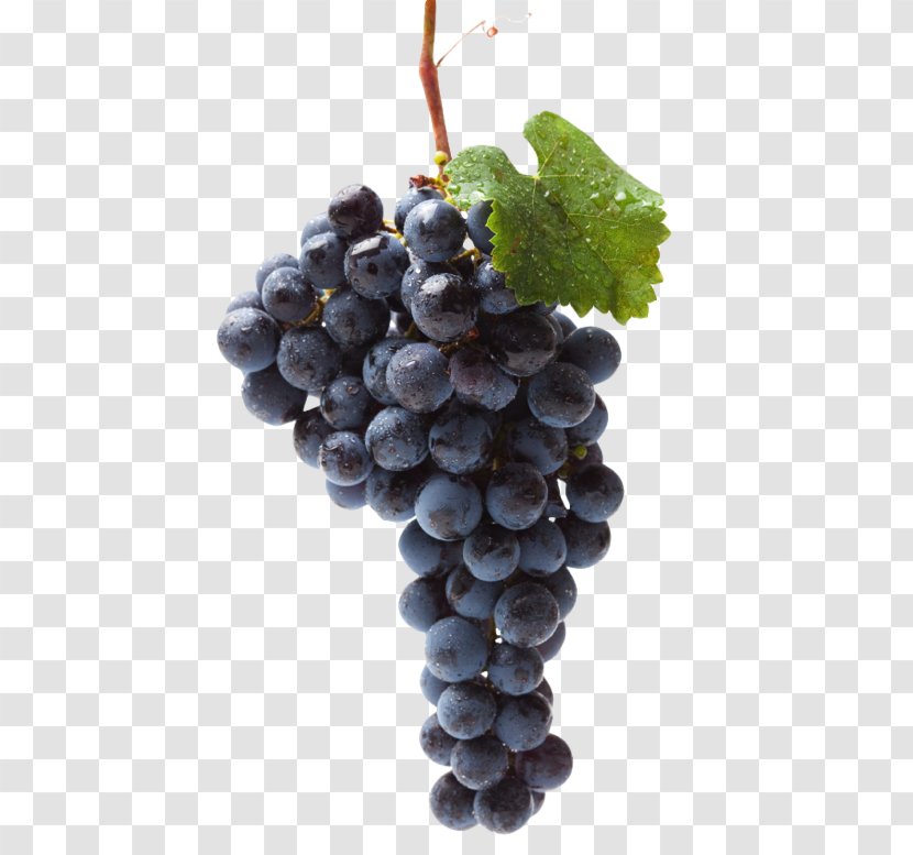Black Muscat Food Raisin Table Grape - Seed Extract Transparent PNG