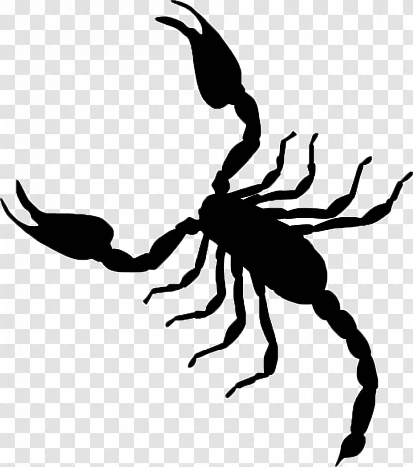 Scorpion Vector Graphics Clip Art Illustration Image - Black And White Transparent PNG