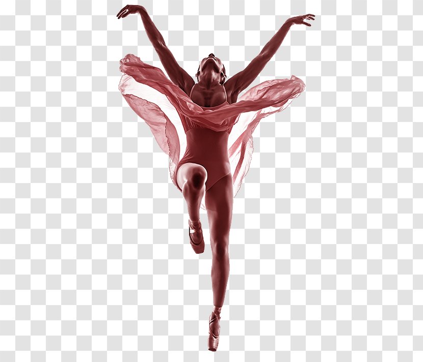 Ballet Dancer Stock Photography - Flower Transparent PNG
