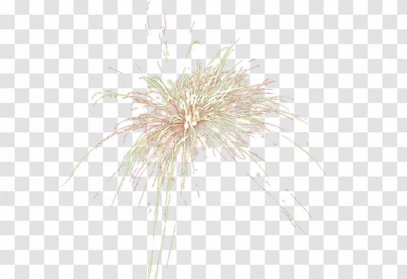 Lantern Festival Fireworks - White - Chinese New Year Transparent PNG