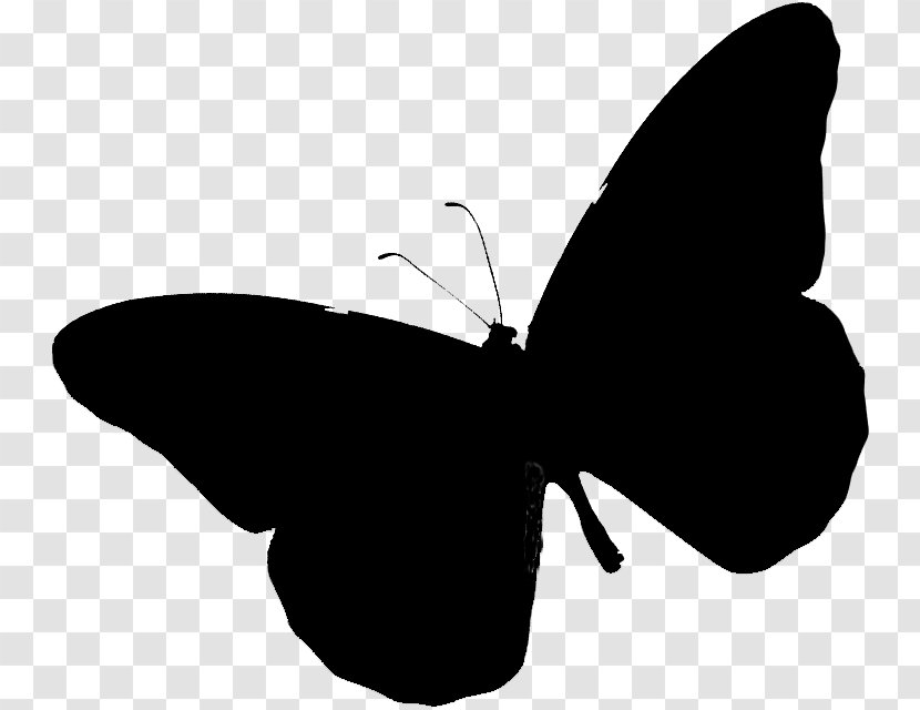 Brush-footed Butterflies Clip Art Silhouette Black M - Wing - Insect Transparent PNG
