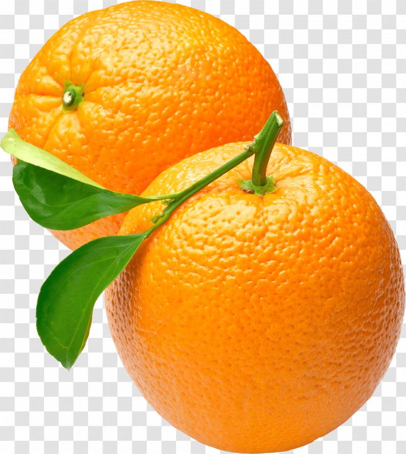 Orange Juice Download Clip Art - Sweet Lemon - Oranges Transparent PNG