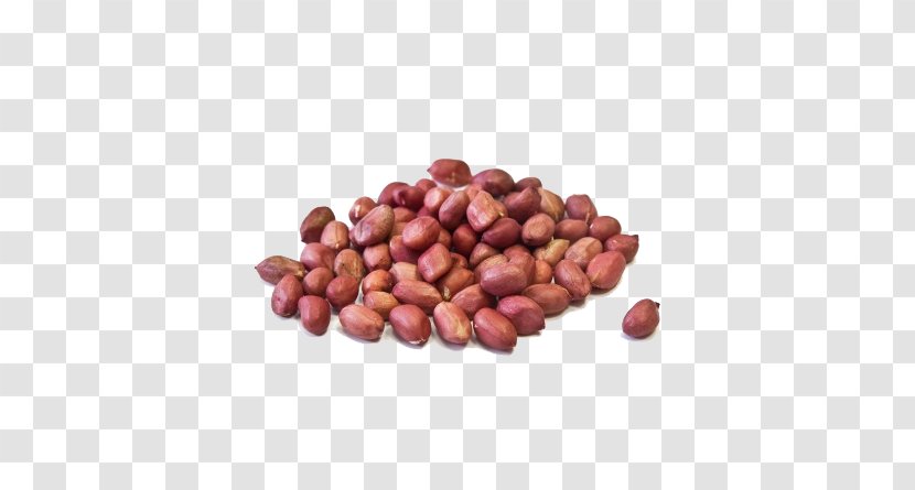 Peanut Hazelnut Nuts Vegetarian Cuisine - Fruit Transparent PNG