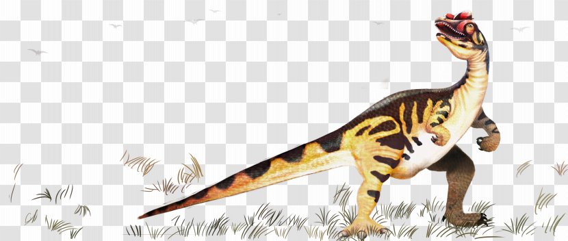 Velociraptor Tyrannosaurus Prehistory Dinosaur - Wildlife - Pattern Transparent PNG