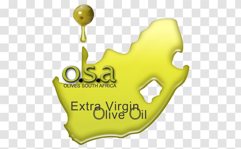 South Africa Olive Fruit Graphic Designer Transparent PNG