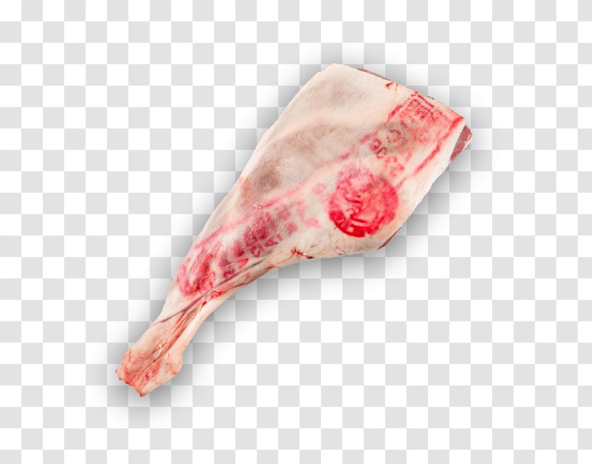 Australian Cuisine Sheep Barbecue Grill Gyro Meat - Flower - Lamb Transparent PNG