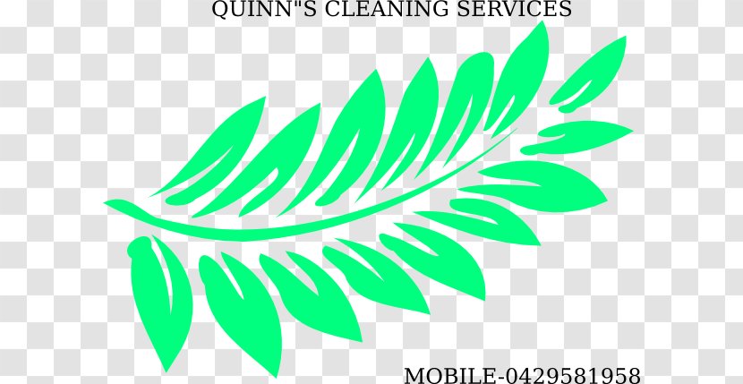 Western Sword Fern Tattoo Evergreen Vascular Plant - Leaf Transparent PNG