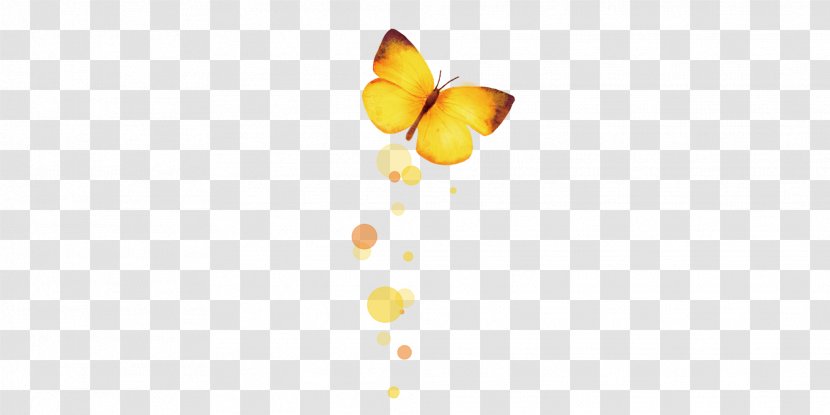Yellow Pattern - Computer - Butterfly Transparent PNG