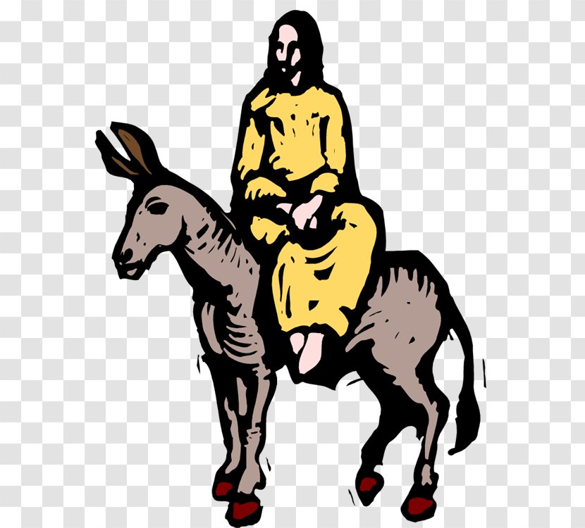Mule Donkey Bethlehem Palm Sunday Clip Art Transparent PNG
