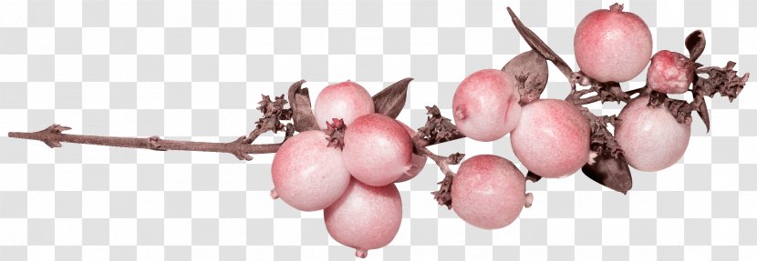 Pomegranate - Pink - Body Jewelry Transparent PNG