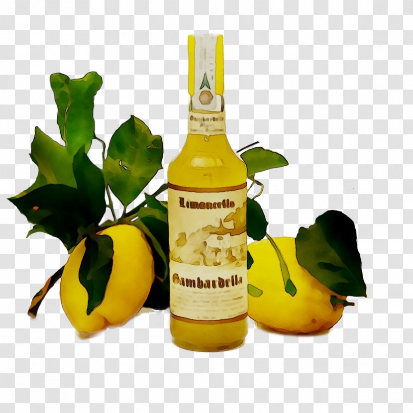 Limoncello Liqueur Rosolio Infusion Cocktail - Fruit Transparent PNG