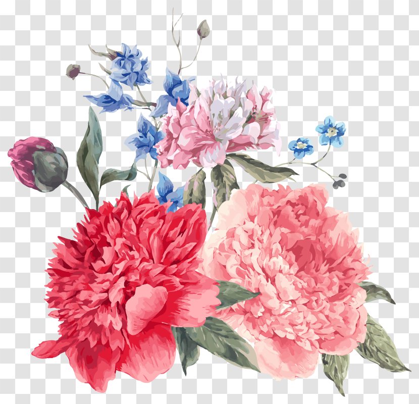 Peony Flower Royalty-free Illustration - Carnation - Romantic Transparent PNG
