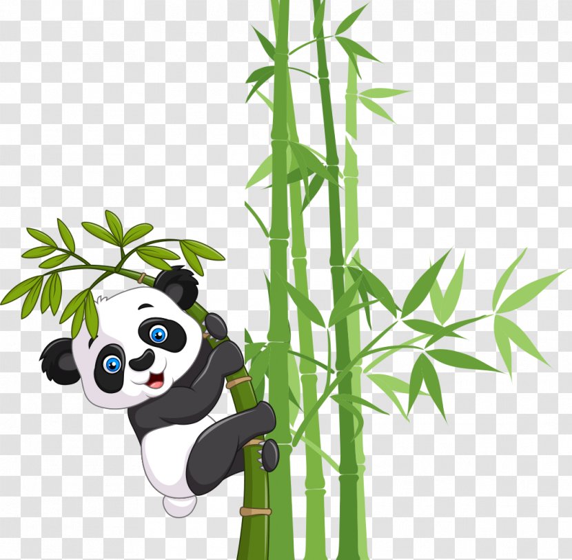Giant Panda Bear Cuteness - Organism - Lucky Bamboo Transparent PNG