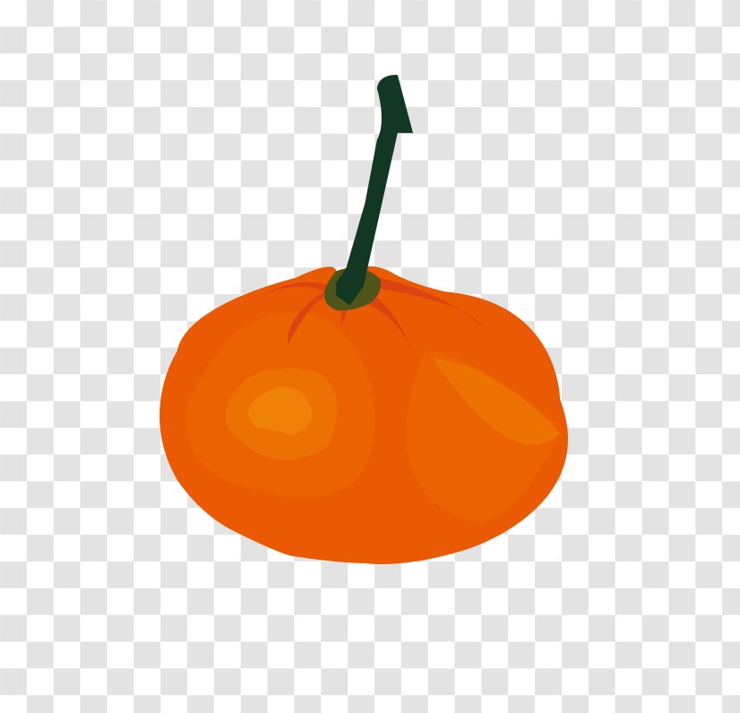 Orange Pumpkin Pattern - Cartoon Persimmon Red Vector Transparent PNG