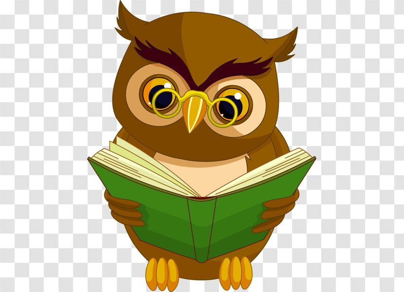Owl Cartoon - Eastern Screech - Bird Transparent PNG