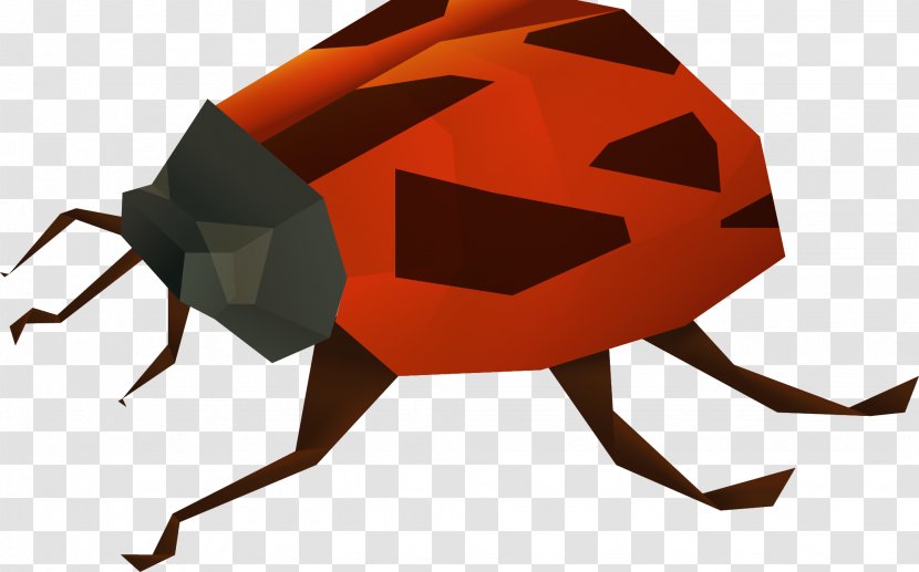 Insect Bee Ladybird Euclidean Vector - Ladybug Transparent PNG