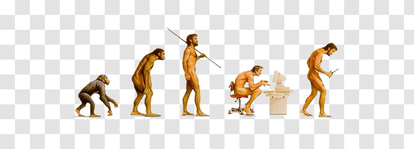 Human Evolution Internet Transitional Fossil Research - Technology Transparent PNG