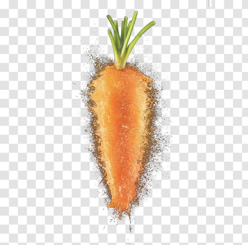 Orange Fruit - Carrot Transparent PNG