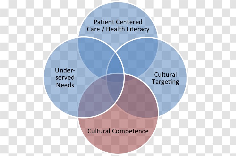 Intercultural Competence Culture Health Care Therapy - Public Transparent PNG