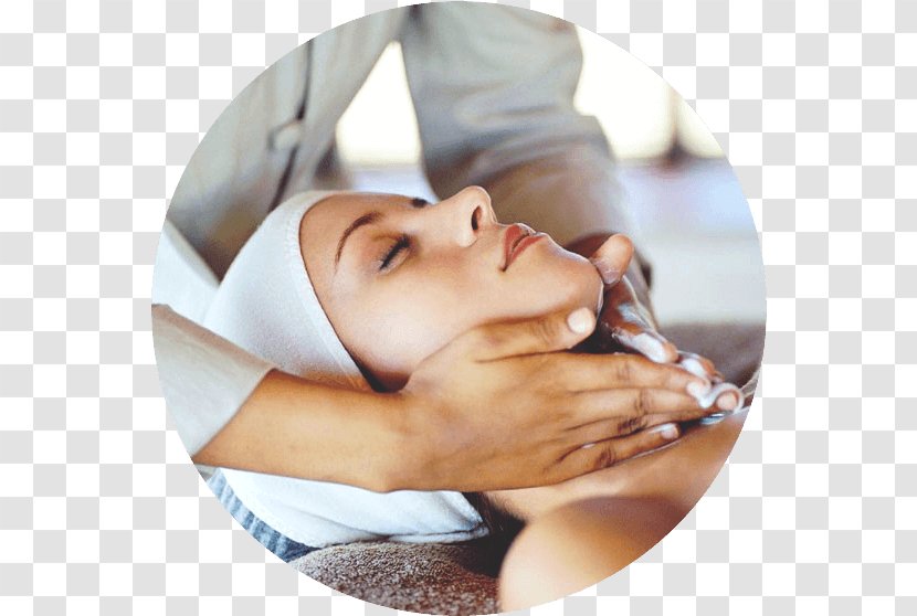 Cosmetology Exfoliation Beauty Learning Massage - Seminar - Eyelash Transparent PNG