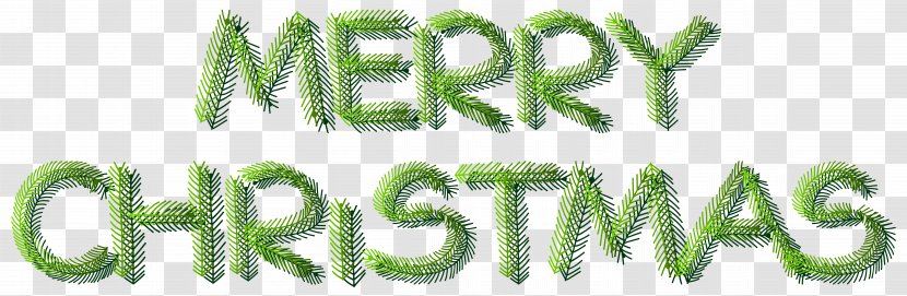 Christmas Santa Claus Xmas Clip Art - Text - Merry Pine Decoration Image Transparent PNG