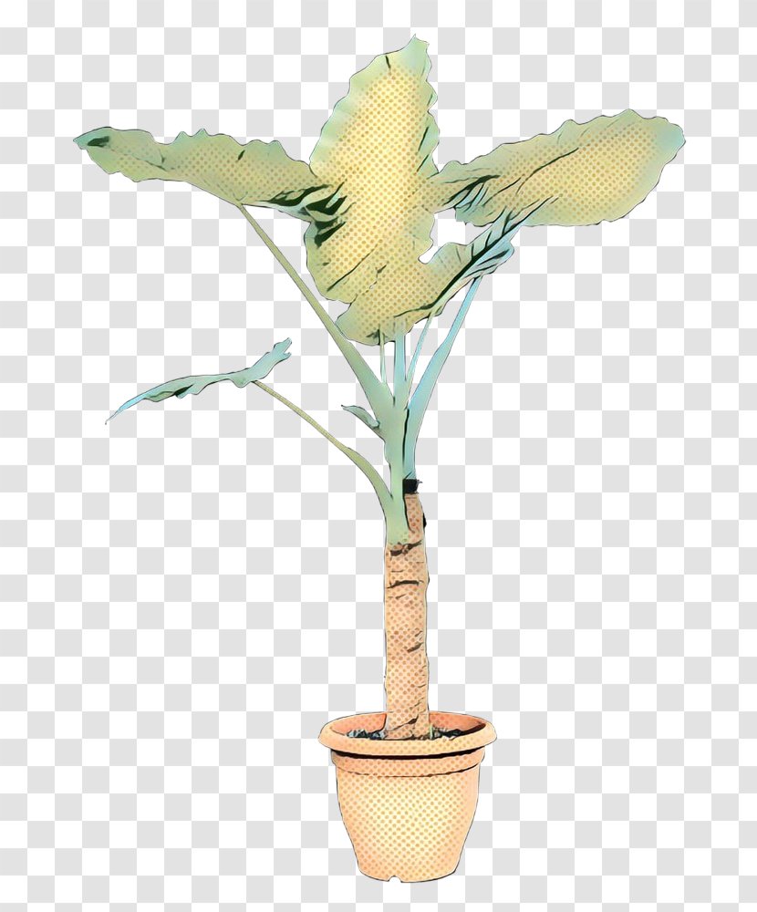 Plants Houseplant Flowerpot Flower Garden - Hoary Stock - Plant Transparent PNG