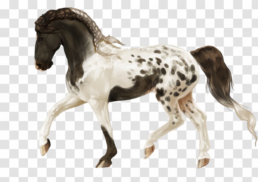 Stallion Mustang Foal Colt Mare - Leopard Skin Design Transparent PNG