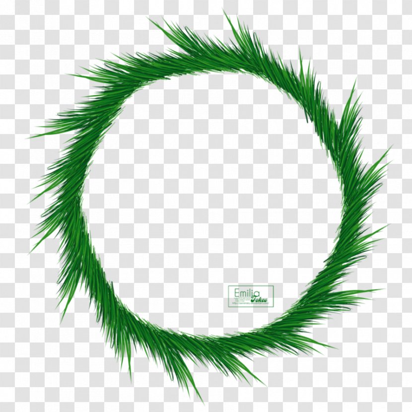 Green Circle Leaf - Evergreen - Frame Transparent PNG
