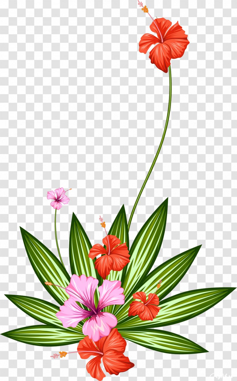 Cut Flowers Plant Tropics - Art - Water Color Transparent PNG