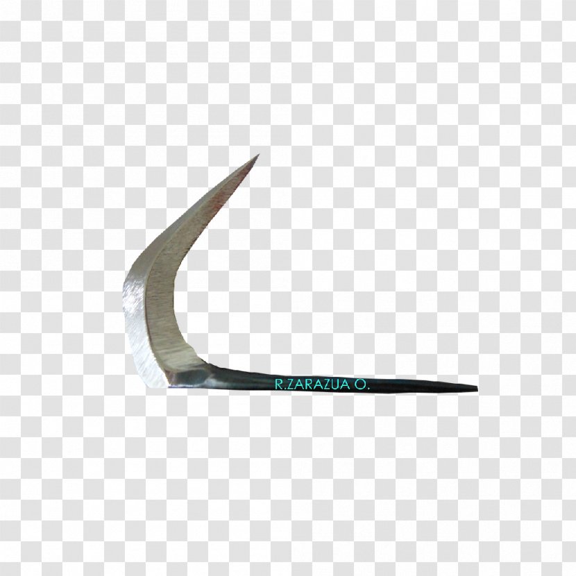 Chicken Pocketknife Wix.com Website Builder - Moon Transparent PNG