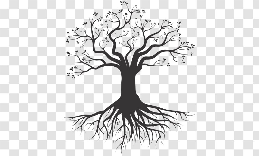 Tree Root Silhouette Drawing - Flower - Arabesco Transparent PNG