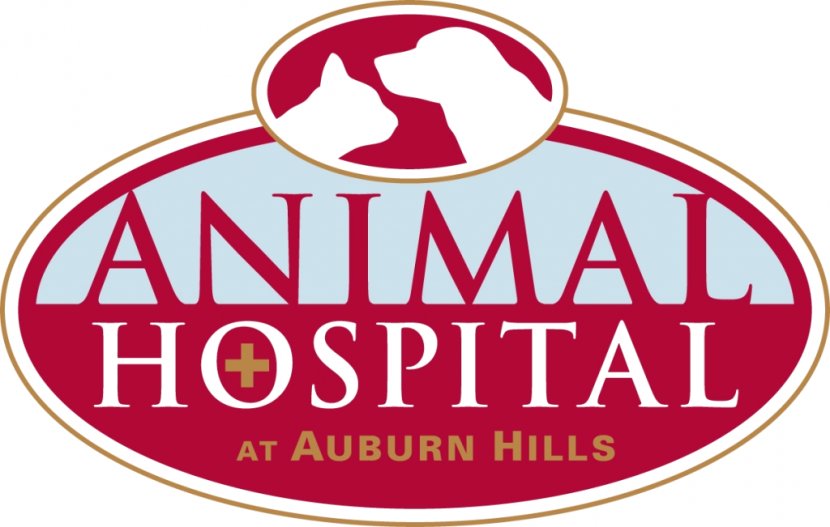 Animal Hospital At Auburn Hills Veterinarian Boxer Chisholm Trail - Maple Orchard Transparent PNG