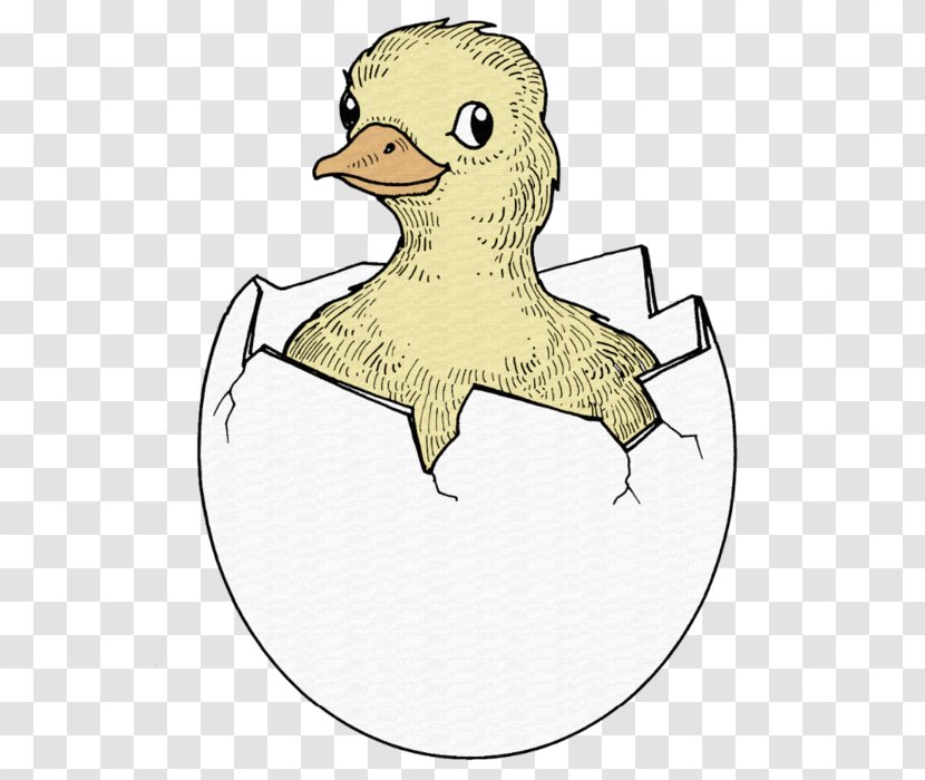 Animals Black And White Clip Art - Duck - Animal Transparent PNG