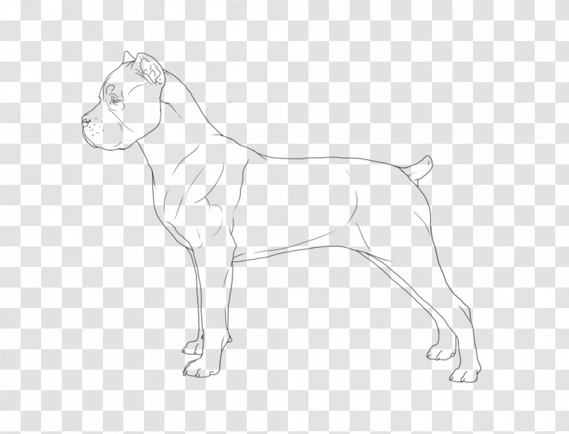 Dog Breed Drawing Line Art Sketch - Cane Corso Transparent PNG